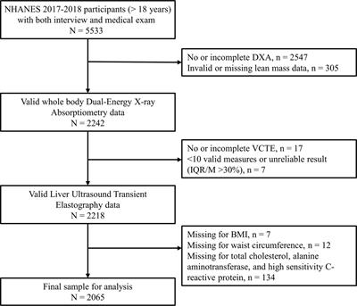 Sex- and region-specific associations of skeletal muscle mass with metabolic dysfunction-associated fatty liver disease